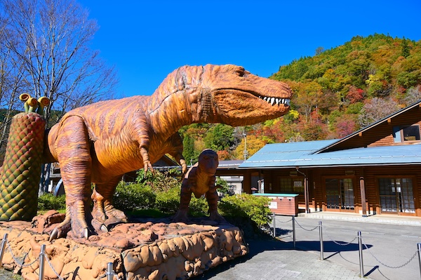 福井県の合宿免許プラン