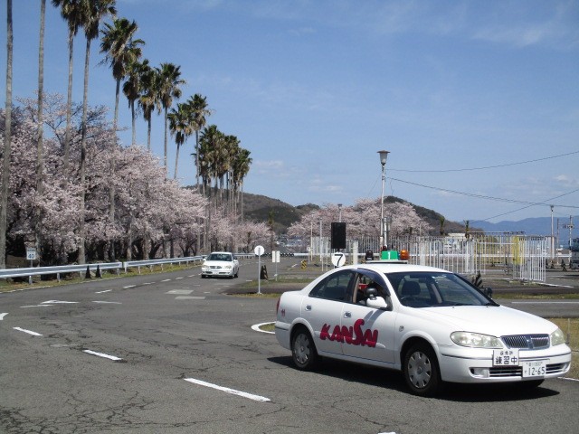 桜に瀬戸内海に眺めのいい教習所コース