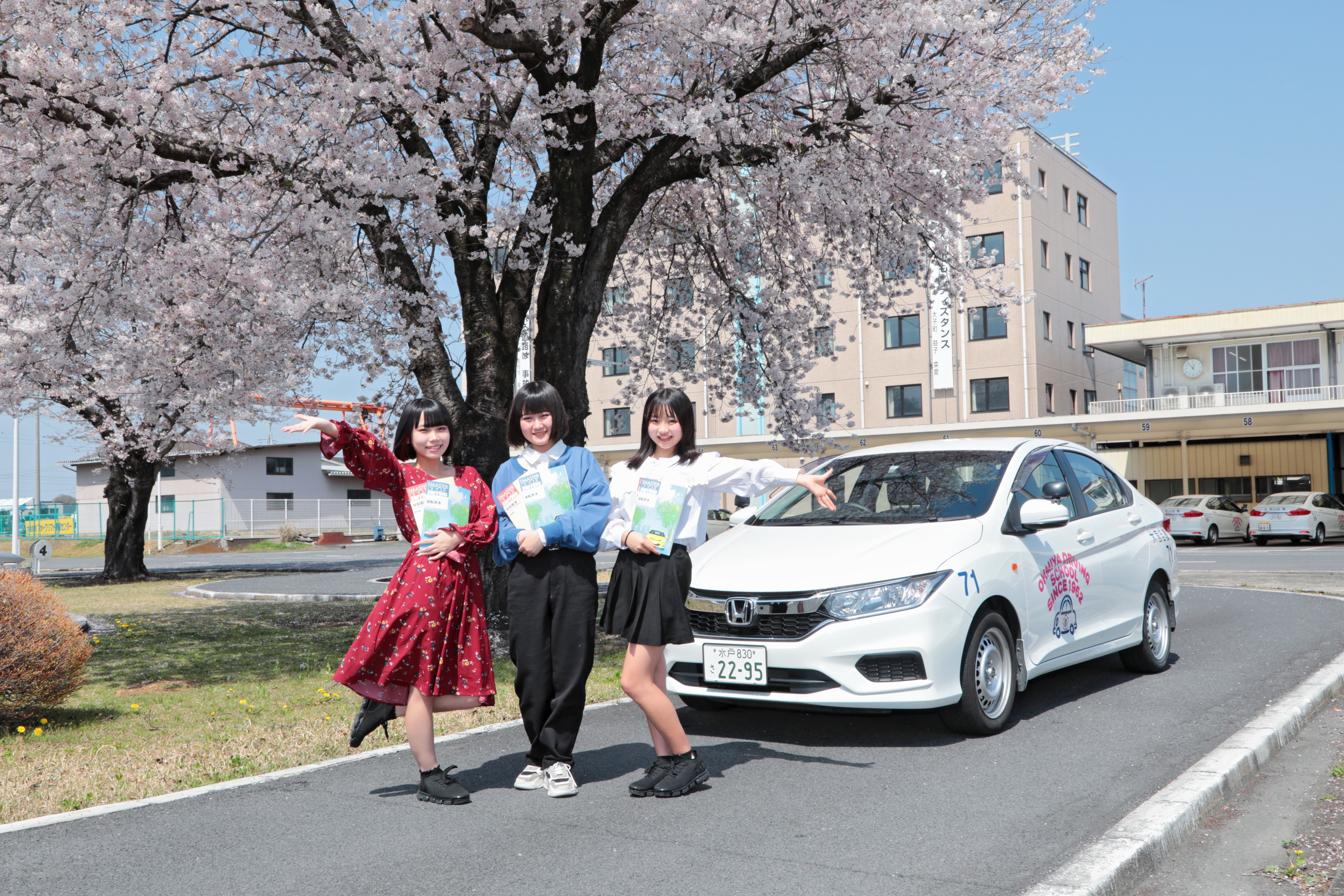 春には綺麗な桜